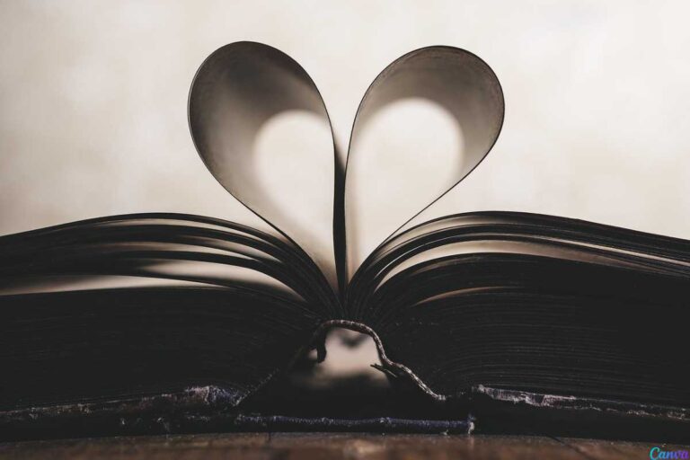 O que os romances literários nos ensinam sobre o comportamento humano e as relações modernas?