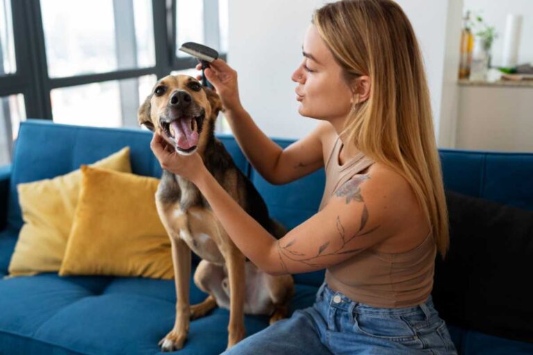 Hábitos importantes para reeducar o comportamento do seu pet
